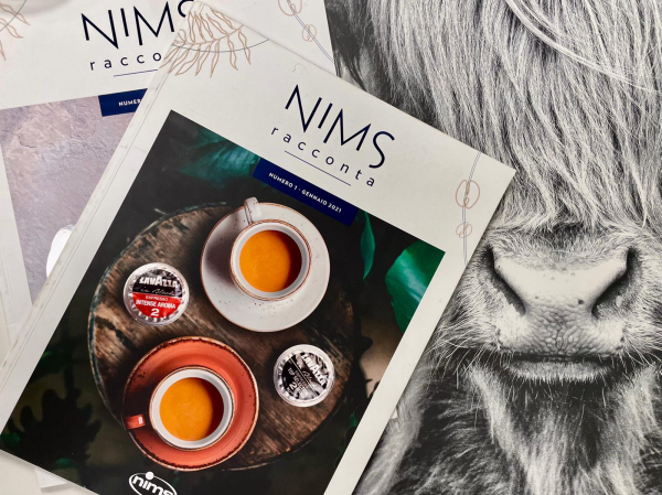 Nims magazine