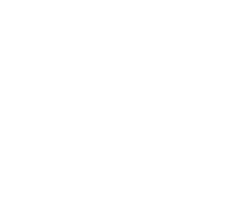 virtus logo 2