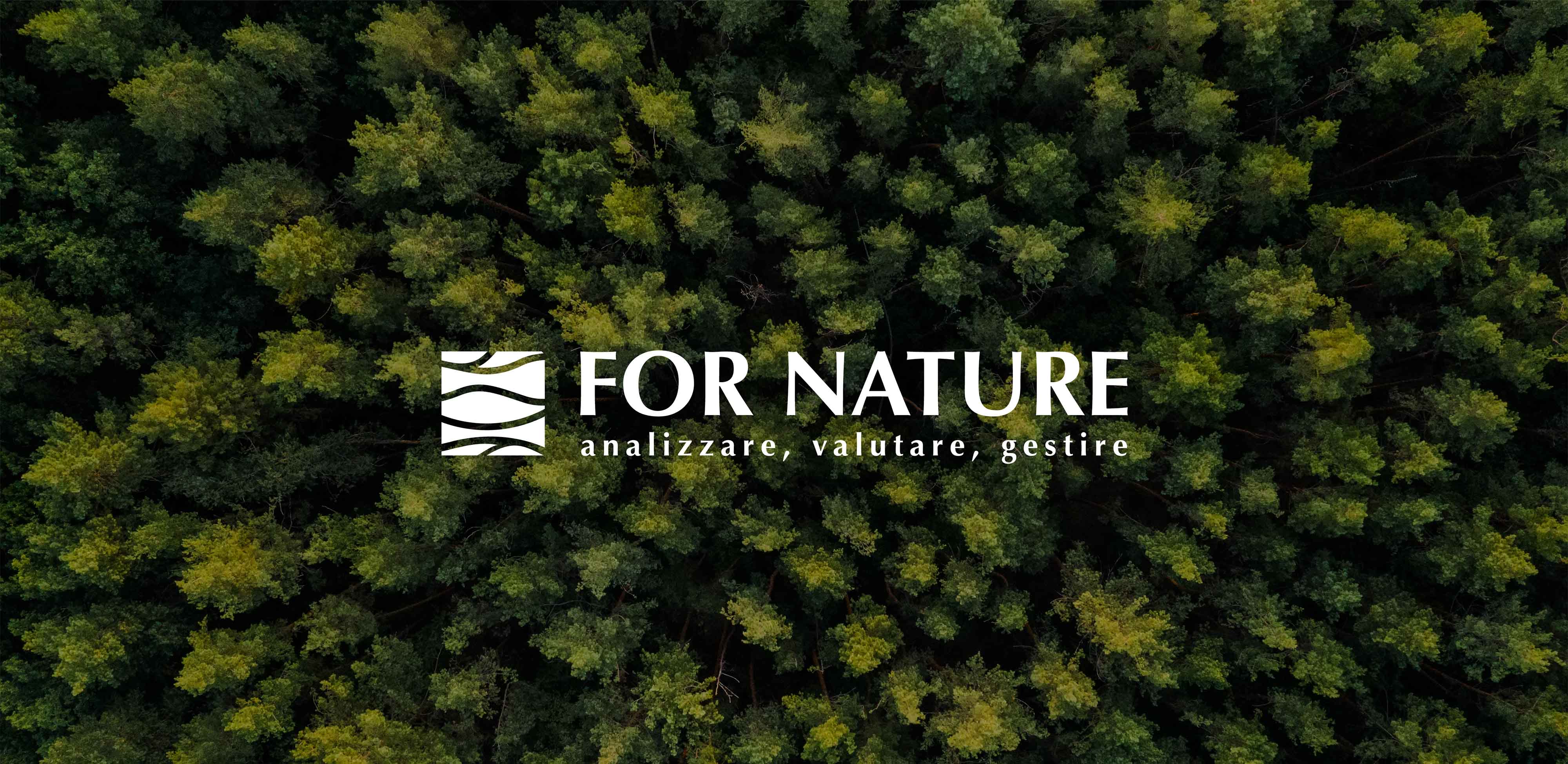 3 sviluppo logo fornature